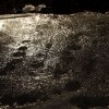 IMG_4335